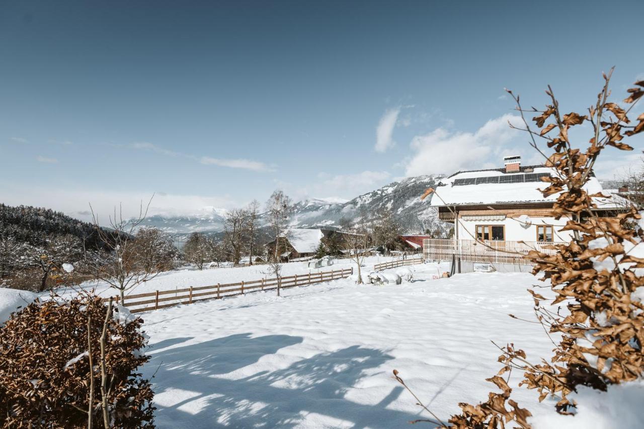 mirnockAHOI - in der Natur mit Berg und Millstättersee-Panorama Ferndorf Exterior foto
